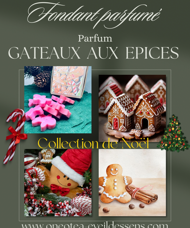 🍯🎄 Edition de Noël – Fondants parfumés Gâteau aux épices 🍯🎄