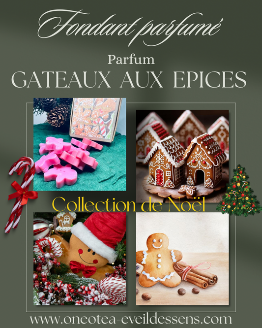 🍯🎄 Boîte de Noël – Parfum Gâteau aux épices  🍯🎄