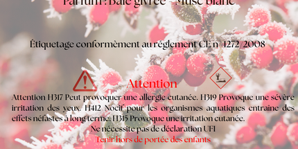 ❄️✨Bougie parfumée de Noël – Veillée Boréale ✨