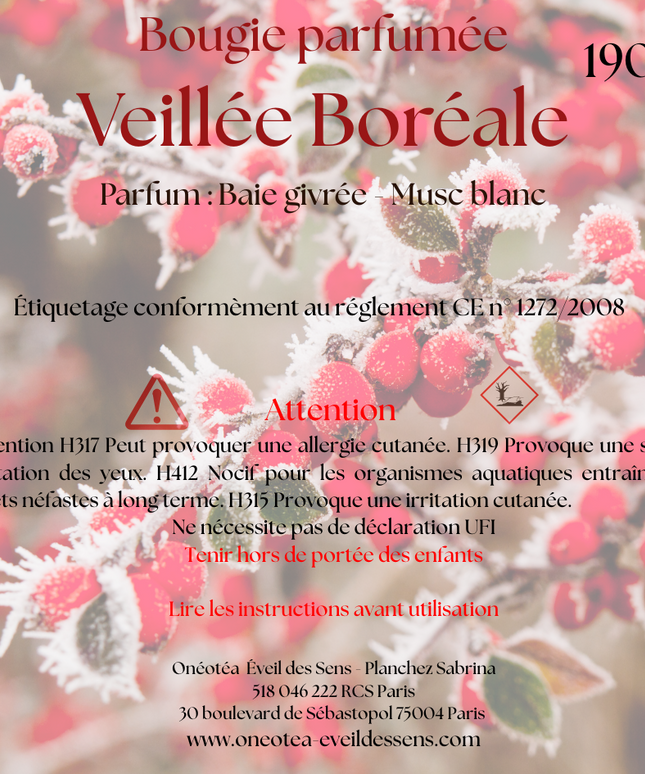 ❄️✨Bougie parfumée de Noël – Veillée Boréale ✨