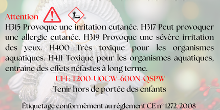 🎅🎄 Fondants parfumés Souvenir de Noël - Créez une ambiance festive