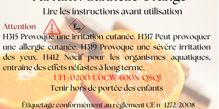 🎄🍊 Fondants parfumés Noël - Édition de Noël Cannelle Orange 🎄🍊