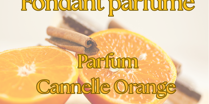 🎄🍊 Fondants parfumés Noël - Édition de Noël Cannelle Orange 🎄🍊