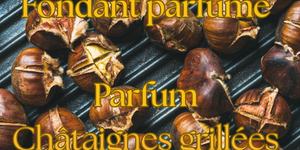 🌰✨ Boîte de Noël – Fondants parfumés Châtaignes Grillées ✨🌰