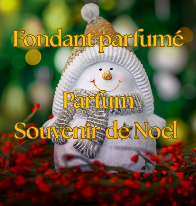 🎅🎄 Édition de Noël – Fondants parfumés Souvenir de Noël 🎅🎄