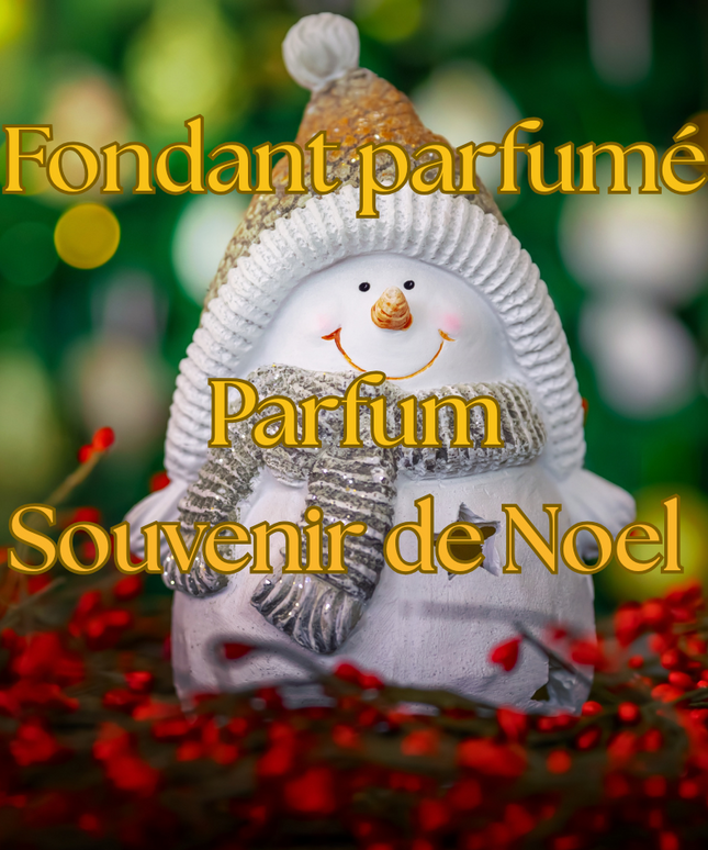 🎅🎄 Édition de Noël – Fondants parfumés Souvenir de Noël 🎅🎄