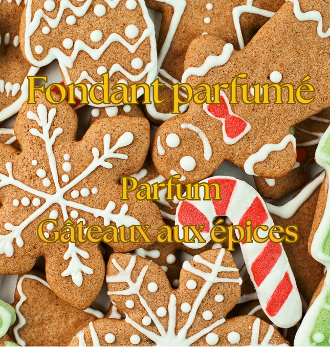 🍯🎄 Edition de Noël – Fondants parfumés Gâteau aux épices 🍯🎄