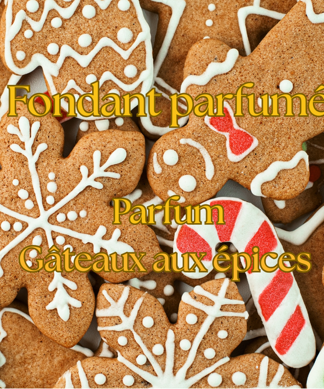🍯🎄 Edition de Noël – Fondants parfumés Gâteau aux épices 🍯🎄