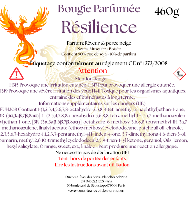 Vela de la resiliencia: la luz de la fuerza interior