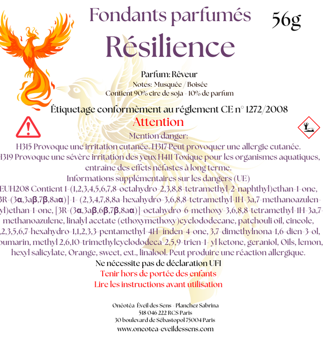 La resiliencia se derrite: la luz de la fuerza interior