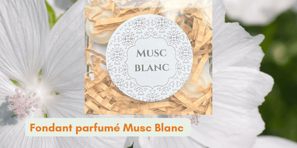 Fondants Parfumés Musc Blanc - Onéotéa - Éveil des Sens