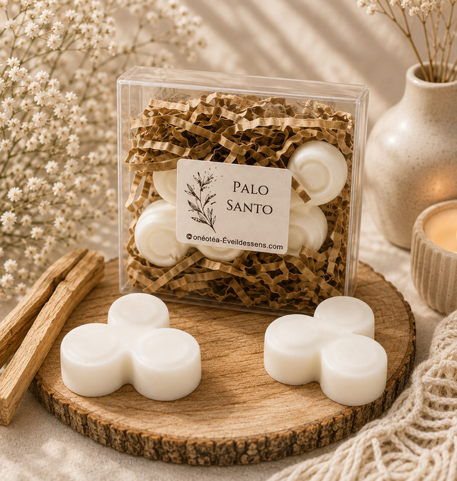 Lot de 2 fondants parfumés Palo Santo bois sacré pour purification et clarté intérieure