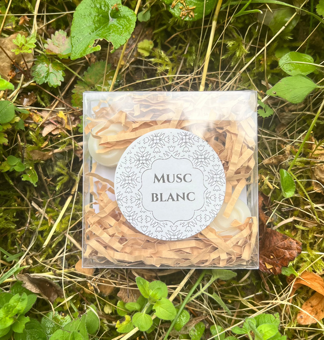 Fondants Parfumés au Musc Blanc