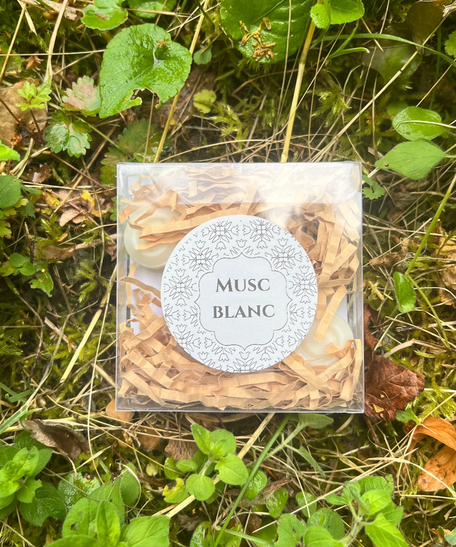 Fondants Parfumés au Musc Blanc