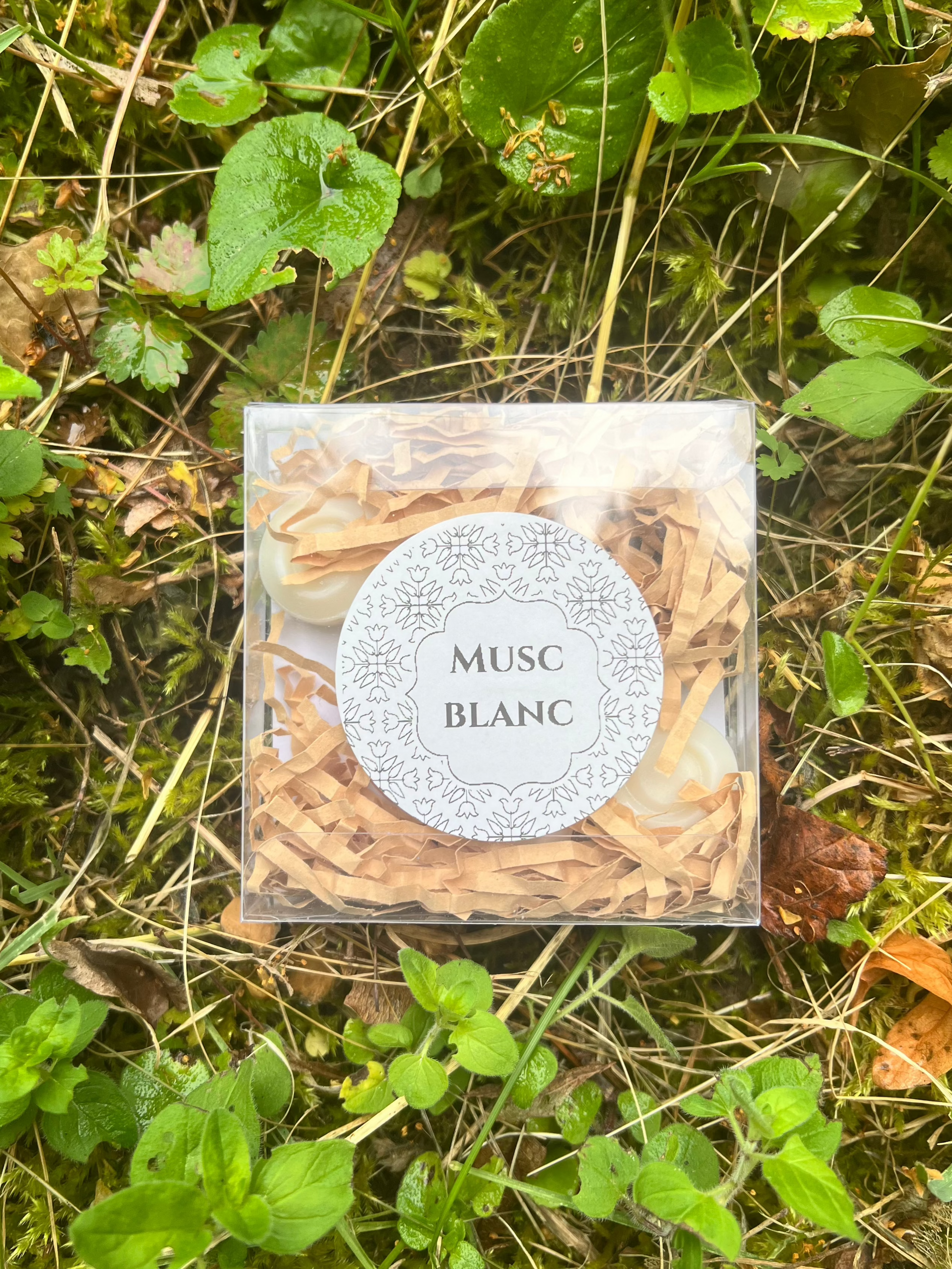 Fondants Parfumés Musc Blanc