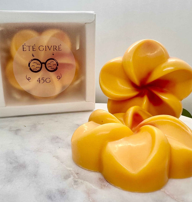 Fondant Parfumé Été Givré : Fraîcheur Unique et Naturelle
