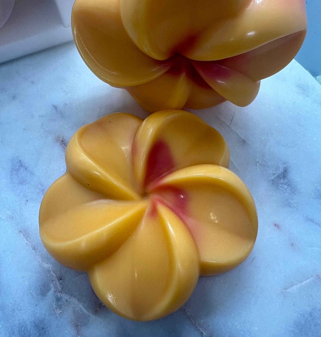 Fondant Parfumé Été Givré : Fraîcheur Unique et Naturelle