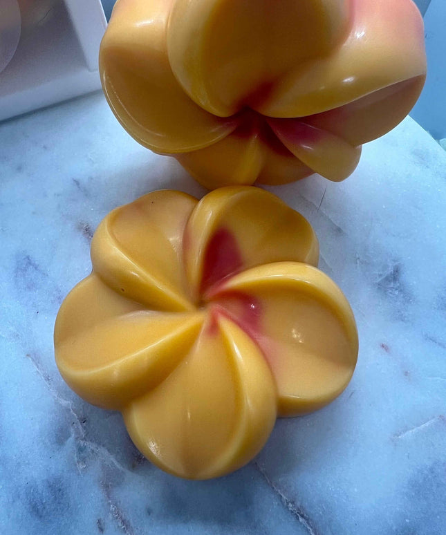 Fondant Parfumé Été Givré : Fraîcheur Unique et Naturelle