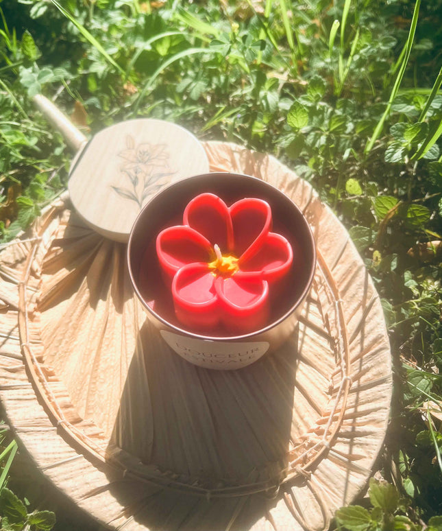 ✨ Bougie parfumée – Douceur Estivale