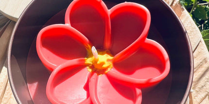 ✨ Bougie parfumée – Douceur Estivale