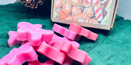 🍯🎄 Edition de Noël – Fondants parfumés Gâteau aux épices 🍯🎄