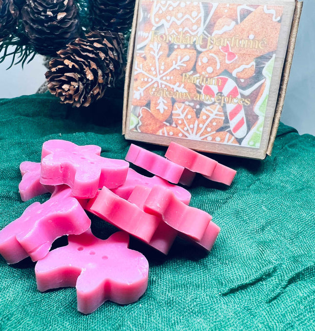 🍯🎄 Edition de Noël – Fondants parfumés Gâteau aux épices 🍯🎄