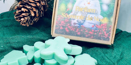 🎅🎄 Édition de Noël – Fondants parfumés Souvenir de Noël 🎅🎄