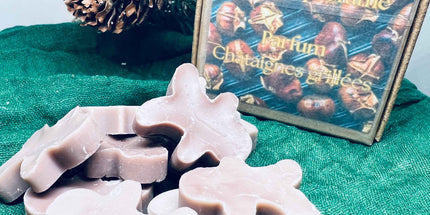 🌰✨ Boîte de Noël – Fondants parfumés Châtaignes Grillées ✨🌰