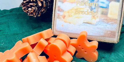 🍪✨ Édition de Noël – Fondants parfumés Bredele ✨🍪