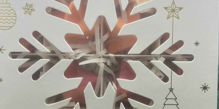 🎄 Coffret de Noël de 16 Fondants Parfumés - Cannelle