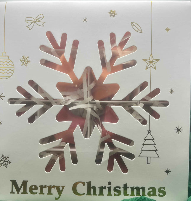 🎄 Coffret de Noël de 16 Fondants Parfumés - Cannelle