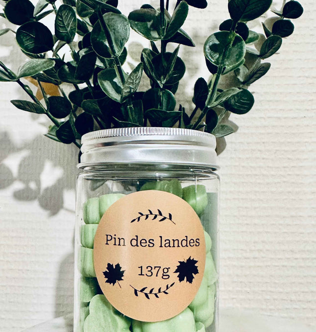 Fondants parfumés Pin des Landes – La fraîcheur de la forêt chez vous 🌲