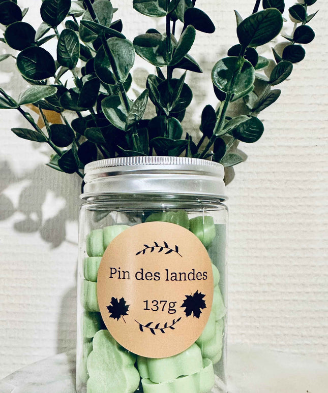 Fondants parfumés Pin des Landes – La fraîcheur de la forêt chez vous 🌲
