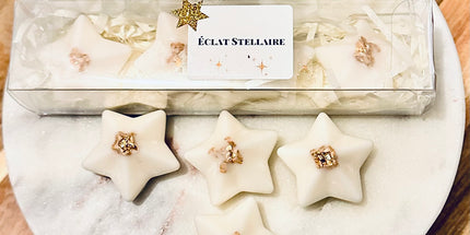 ✨ Fondants Parfumés – Éclat Stellaire ✨