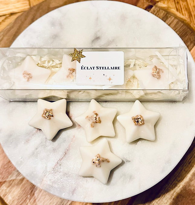 Fondants Parfumés Éclat Stellaire pour Parfumer Votre Intérieur Envoûtant