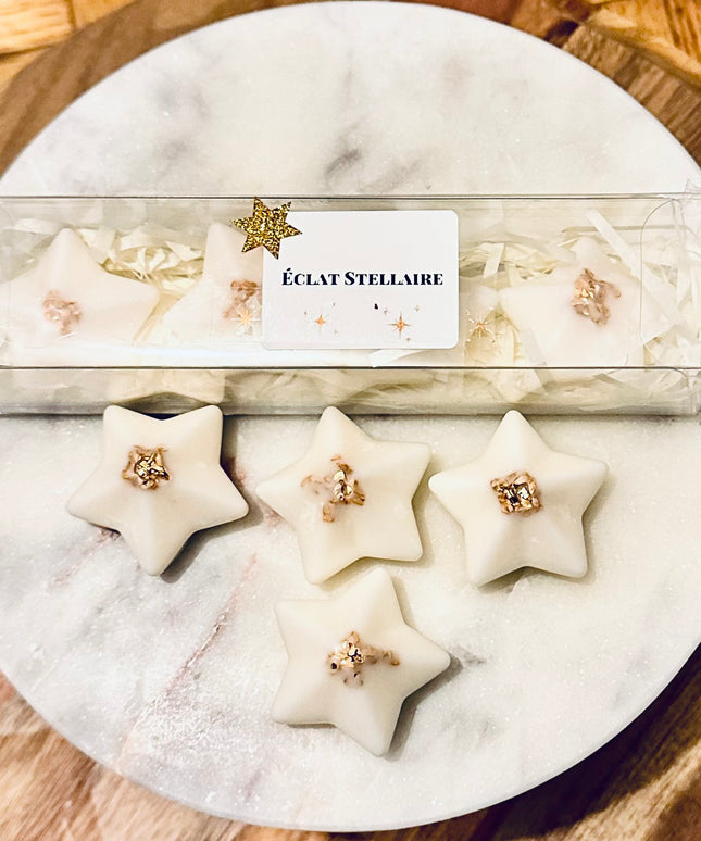 ✨ Fondants Parfumés – Éclat Stellaire ✨