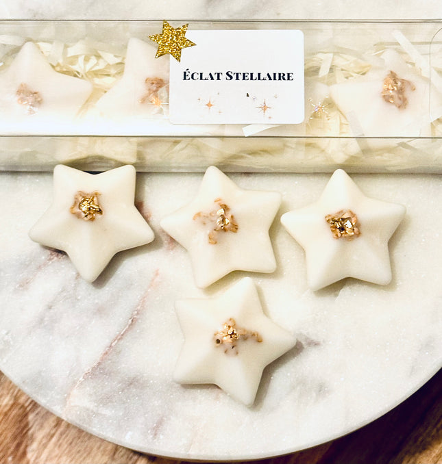 Fondants Parfumés Éclat Stellaire pour Parfumer Votre Intérieur Envoûtant