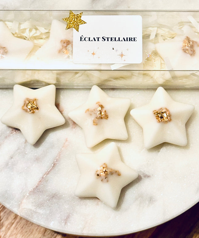 ✨ Fondants Parfumés – Éclat Stellaire ✨