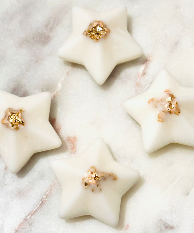 ✨ Fondants Parfumés – Éclat Stellaire ✨