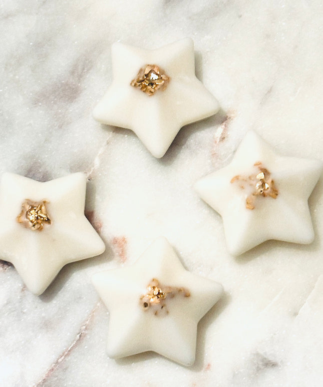 ✨ Fondants Parfumés – Éclat Stellaire ✨