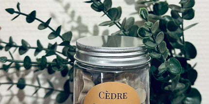 Fondants parfumés au Cèdre du Liban – La fraîcheur de la forêt chez vous 🌲