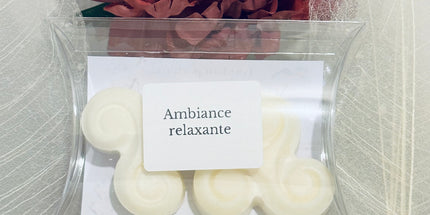 🌿 Fondants parfumés Ambiance Relaxante  - Notes Orangées, hespéridées, épicées