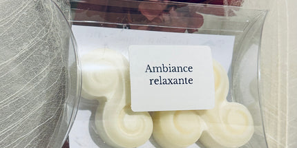 🌿 Fondants parfumés Ambiance Relaxante  - Notes Orangées, hespéridées, épicées