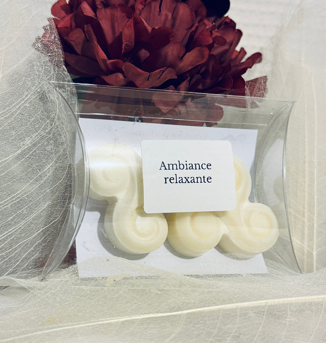 🌿 Fondants parfumés Ambiance Relaxante  - Notes Orangées, hespéridées, épicées
