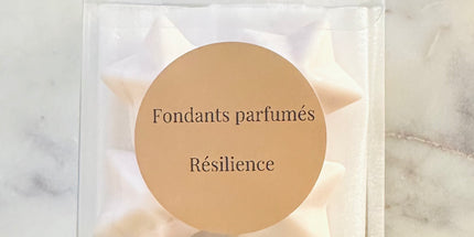 Fondants Parfumés  Résilience - Notes musquées, boisées