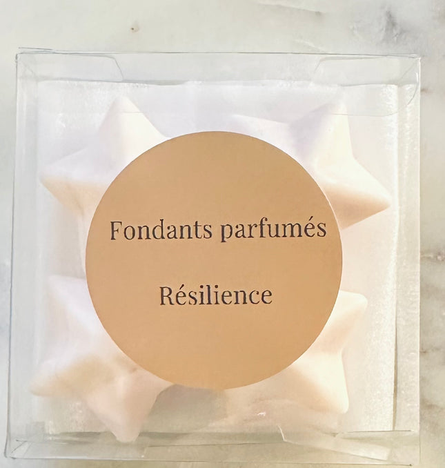 Fondants Parfumés  Résilience - Notes musquées, boisées