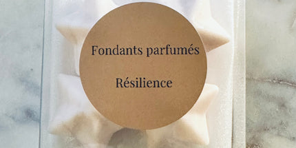 Fondants Parfumés  Résilience - Notes musquées, boisées