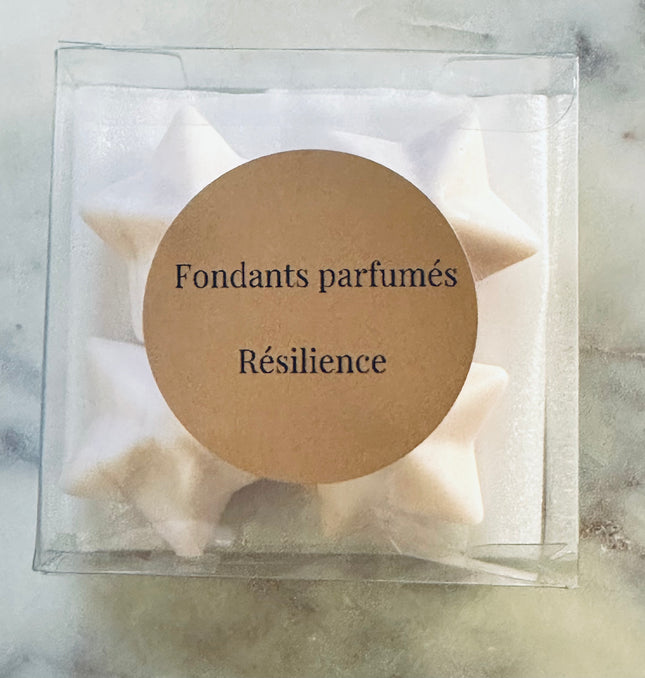 La resiliencia se derrite: la luz de la fuerza interior