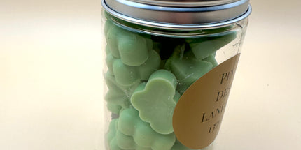 Fondants parfumés au Pin des Landes – La fraîcheur de la forêt chez vous 🌲