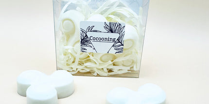 Fondants Parfumés " Instant Cocooning "